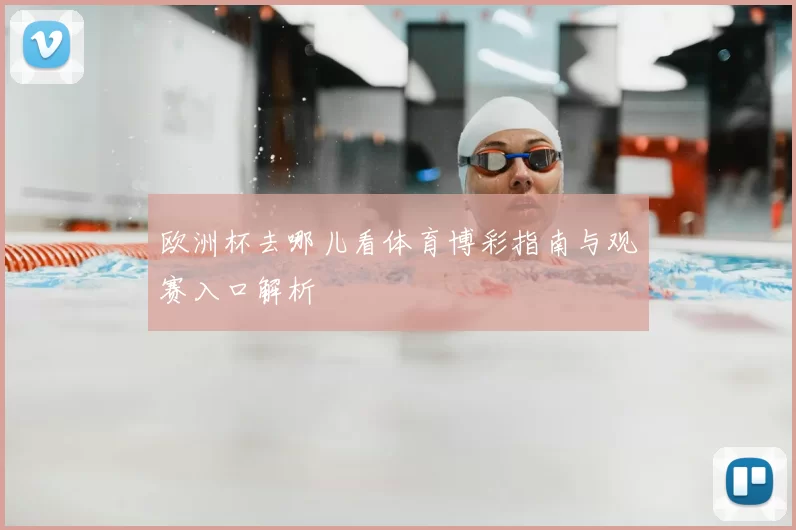 欧洲杯去哪儿看体育博彩指南与观赛入口解析