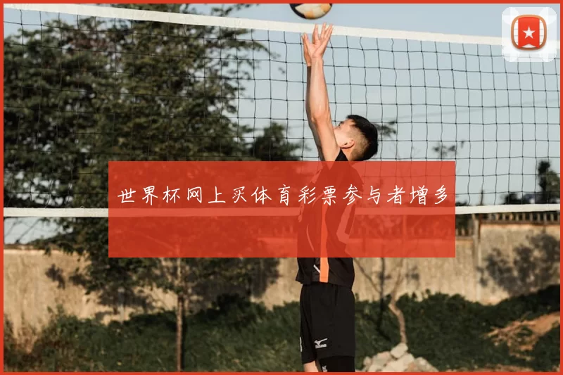 世界杯网上买体育彩票参与者增多