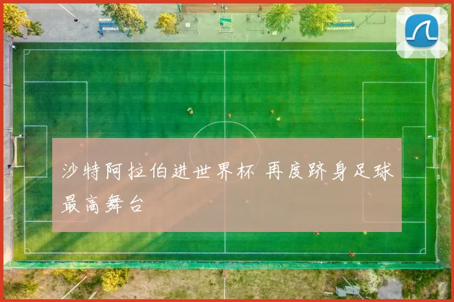 沙特阿拉伯进世界杯 再度跻身足球最高舞台