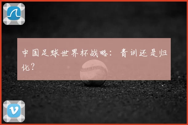 中国足球世界杯战略:青训还是归化?