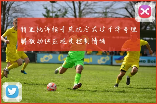 特里批评枪手庆祝方式过于浮夸理解激动但应适度控制情绪