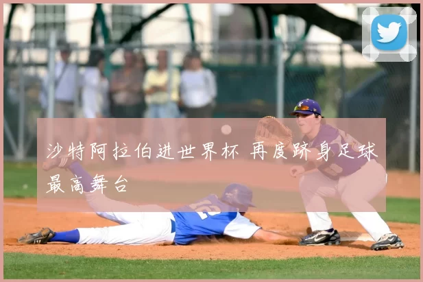 沙特阿拉伯进世界杯 再度跻身足球最高舞台