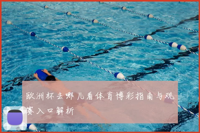 欧洲杯去哪儿看体育博彩指南与观赛入口解析