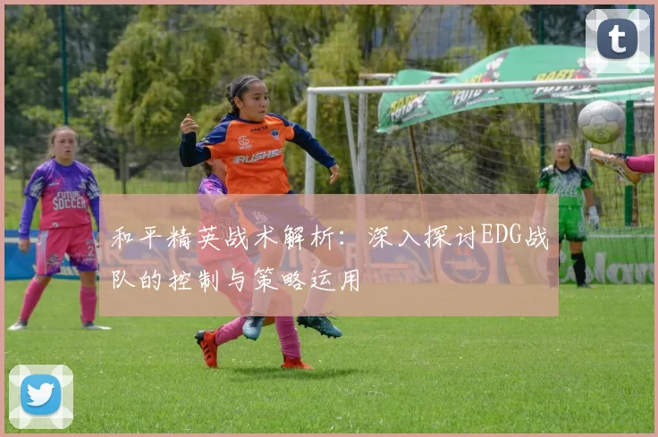 和平精英战术解析：深入探讨EDG战队的控制与策略运用