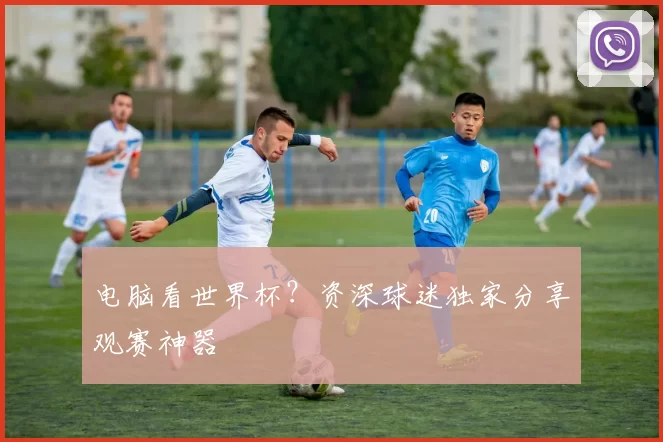 电脑看世界杯?资深球迷独家分享观赛神器
