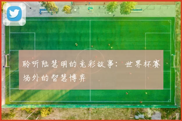 聆听陆慧明的竞彩故事：世界杯赛场外的智慧博弈