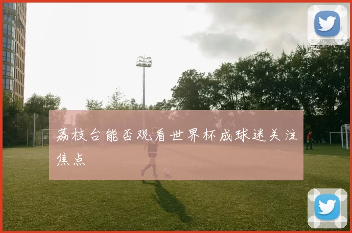 荔枝台能否观看世界杯成球迷关注焦点